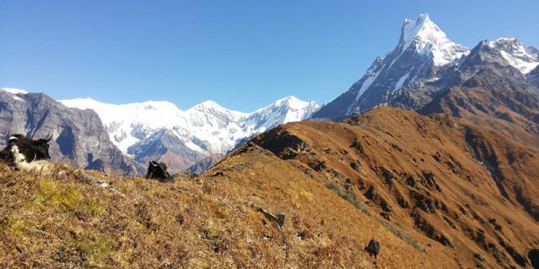 Mardi Himal base camp Trek