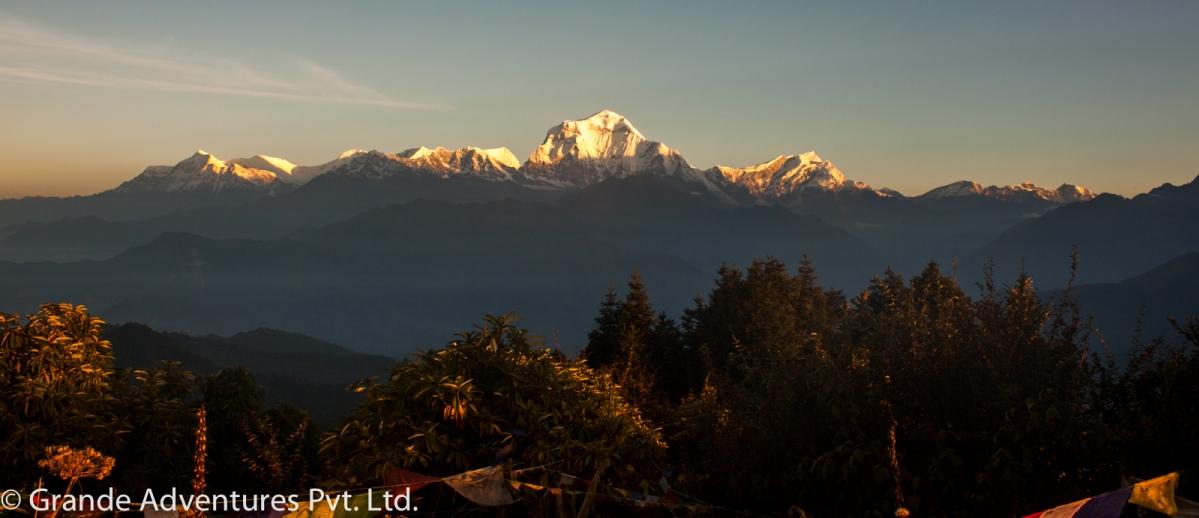 Dhaulagiri from Poon Hill